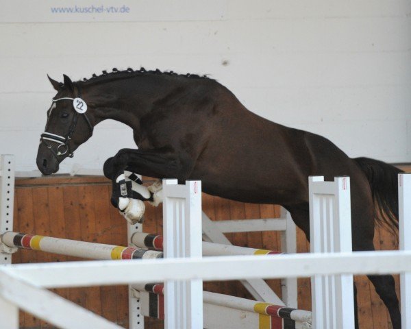 stallion Radar Lock xx (Thoroughbred, 2016, from Sunday Break xx)