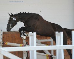 stallion Radar Lock xx (Thoroughbred, 2016, from Sunday Break xx)