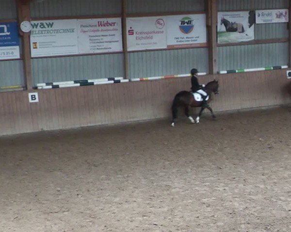 Reitturnier Uder, Reitanlage Kobold 2024