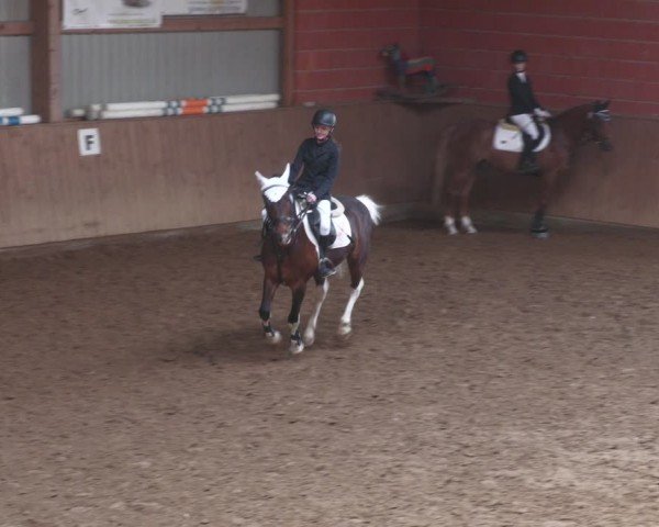 Reitturnier Uder, Reitanlage Kobold 2024