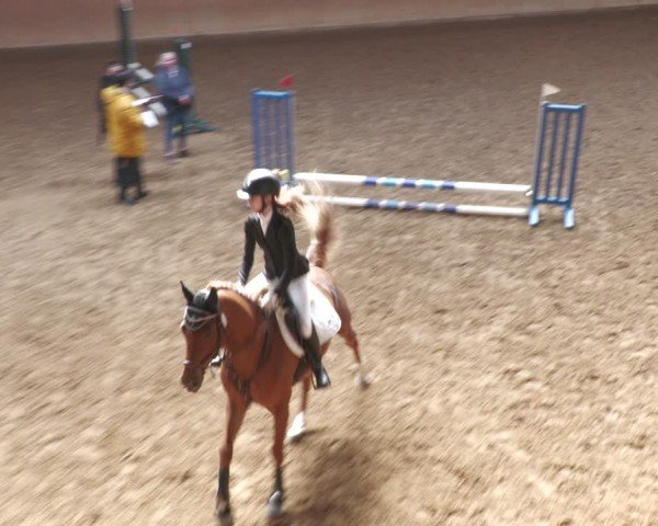 Reitturnier Uder, Reitanlage Kobold 2024