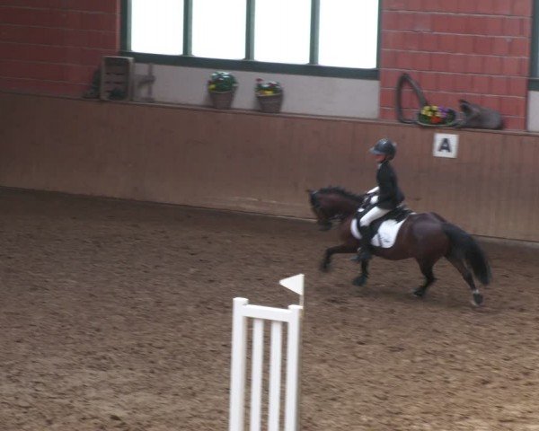 Reitturnier Uder, Reitanlage Kobold 2024