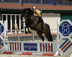 Dressurpferd Heimzauber (Trakehner, 2007, von Tuareg)