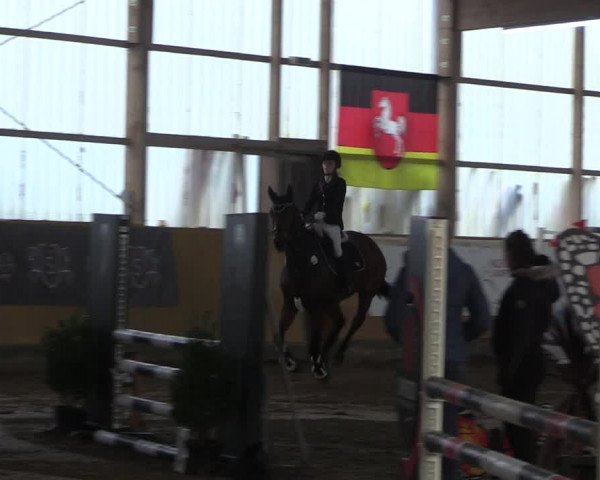 Reitturnier Pausin 2021