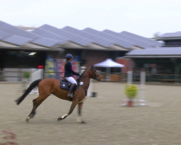Reitturnier Heiden 2024
