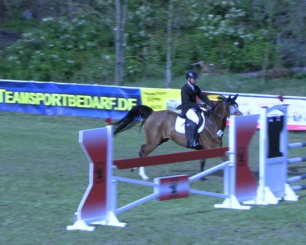 Reitturnier Colbitz 2024