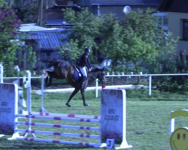 Reitturnier Colbitz 2024