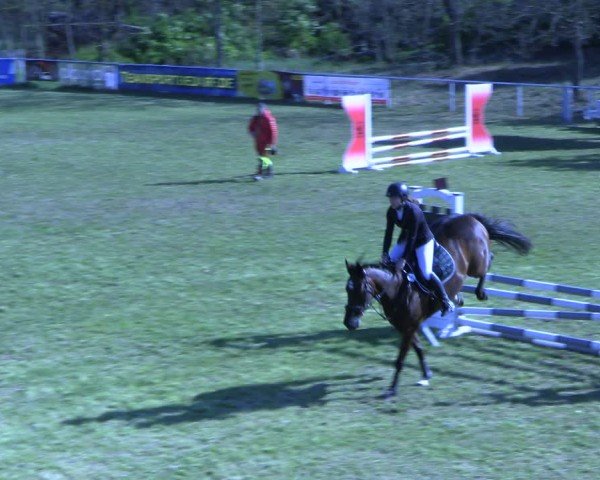 Reitturnier Colbitz 2024