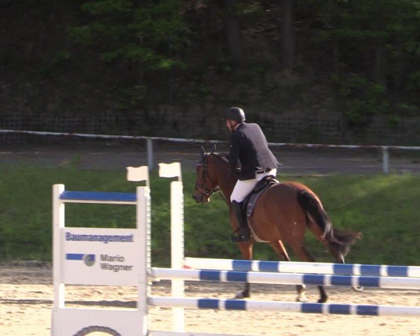 Reitturnier Lgl.-Oberhain, B95 2024