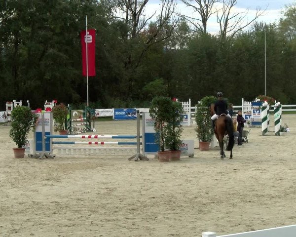 Reitturnier Isny-Rohrdorf 2021