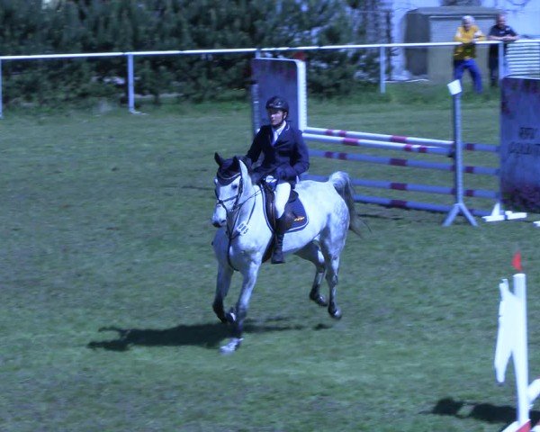 Reitturnier Colbitz 2024