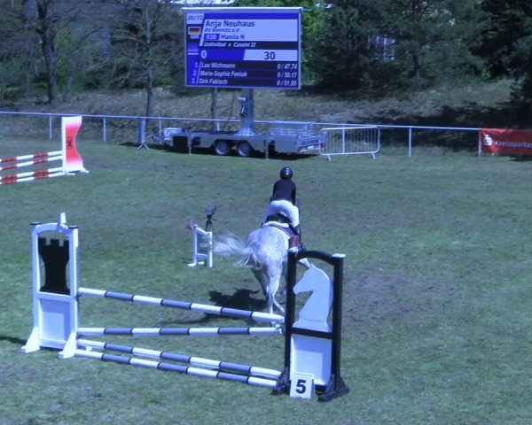 Reitturnier Colbitz 2024