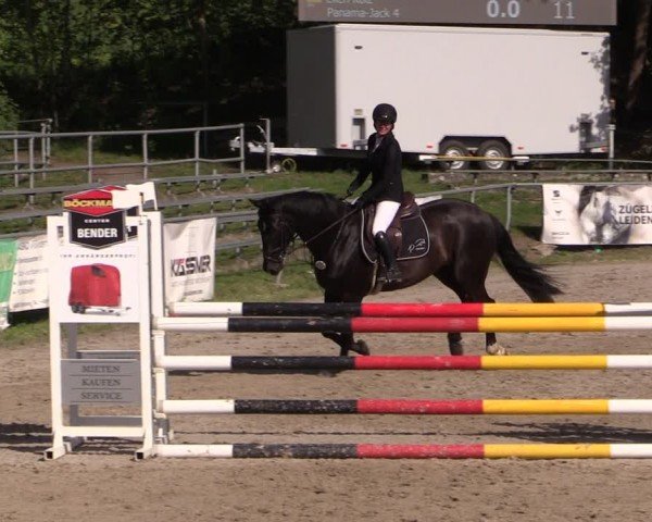 Reitturnier Lgl.-Oberhain, B95 2024