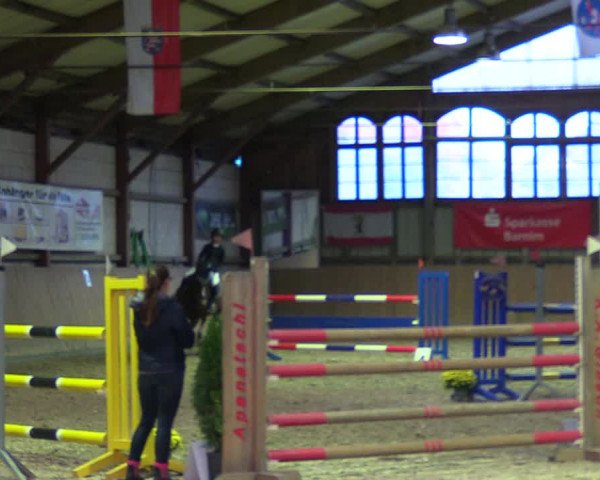 Reitturnier Elisenau 2021