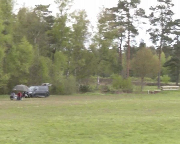CCI2* Luhmühlen 2024