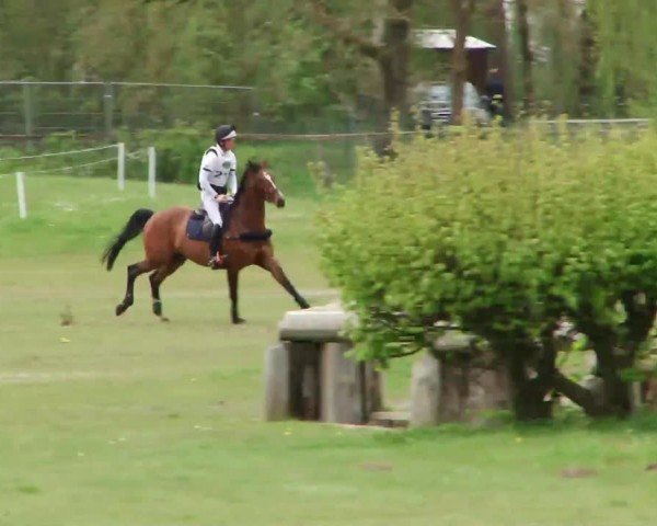 CCI2* Luhmühlen 2024
