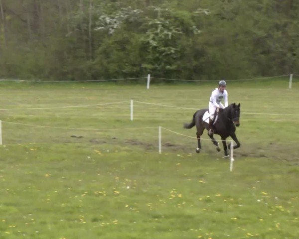 CCI2* Luhmühlen 2024