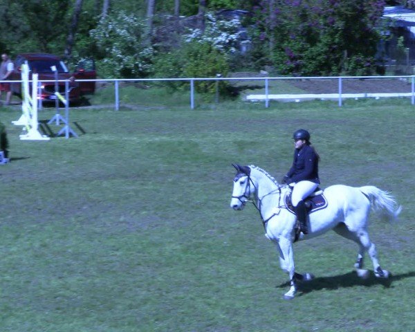 Reitturnier Colbitz 2024
