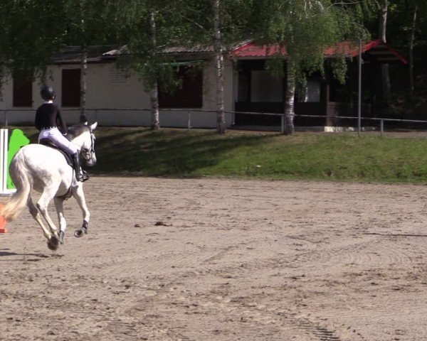 Reitturnier Lgl.-Oberhain, B95 2024