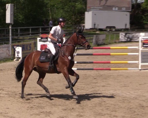 Reitturnier Lgl.-Oberhain, B95 2024