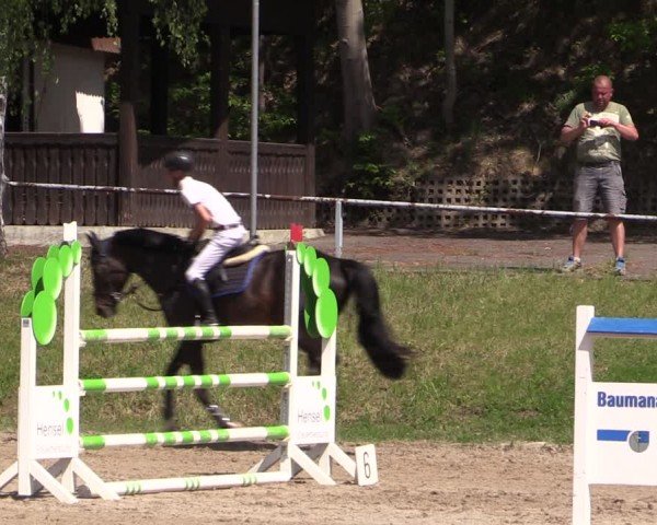 Reitturnier Lgl.-Oberhain, B95 2024