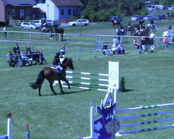 Reitturnier Colbitz 2024