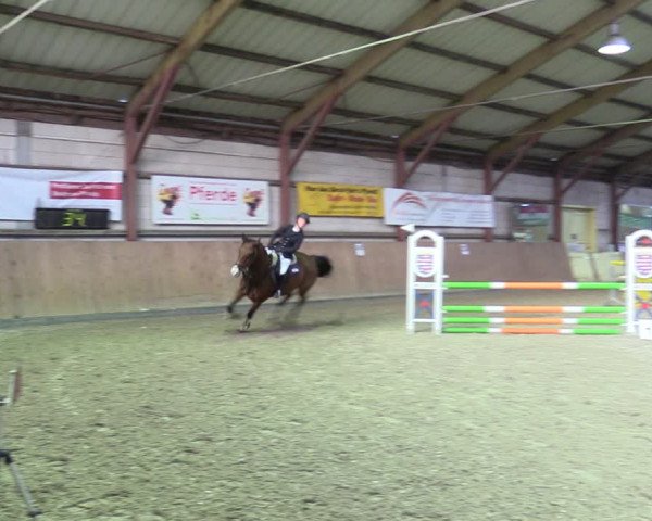 Reitturnier Elisenau 2021