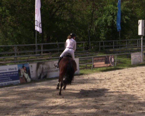 Reitturnier Lgl.-Oberhain, B95 2024