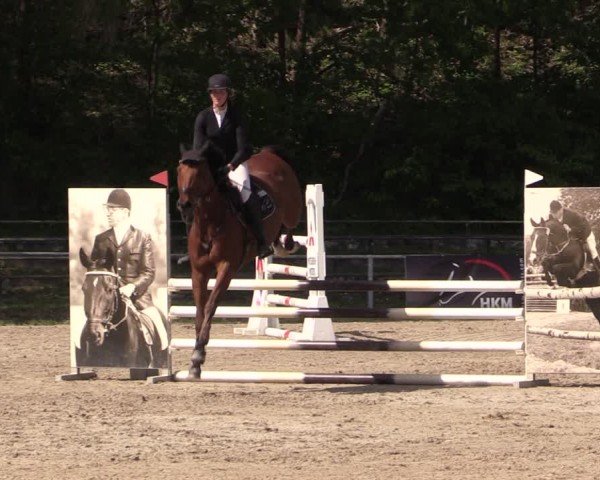Reitturnier Lgl.-Oberhain, B95 2024