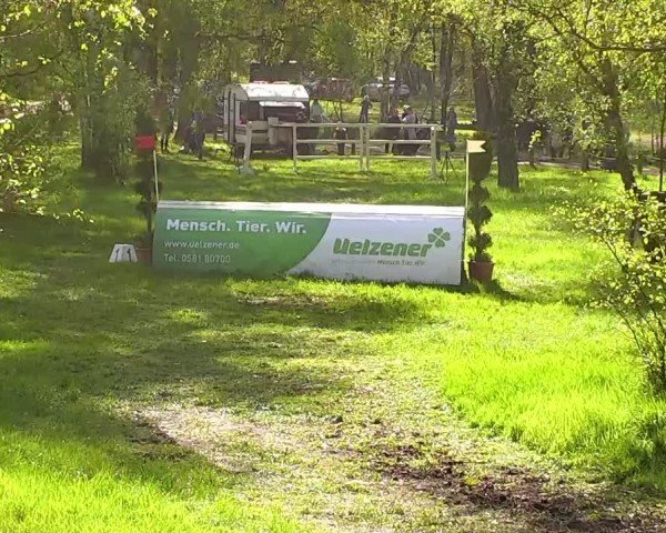 CCI2* Luhmühlen 2024