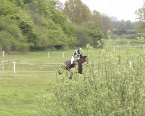 CCI2* Luhmühlen 2024