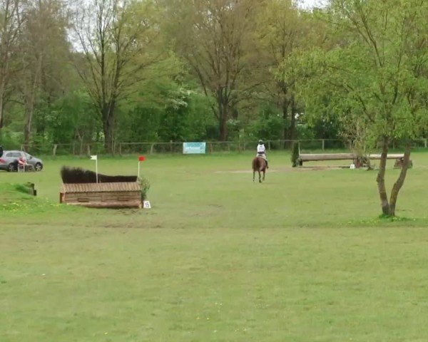CCI2* Luhmühlen 2024