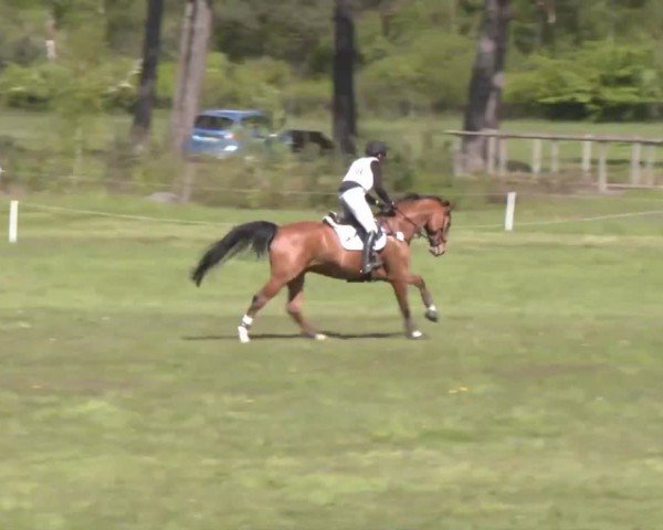 CCI2* Luhmühlen 2024