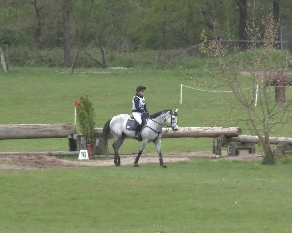 CCI2* Luhmühlen 2024