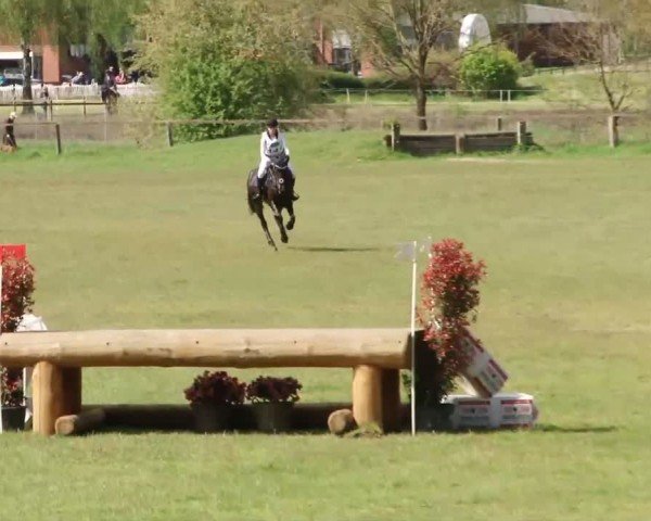 CCI2* Luhmühlen 2024