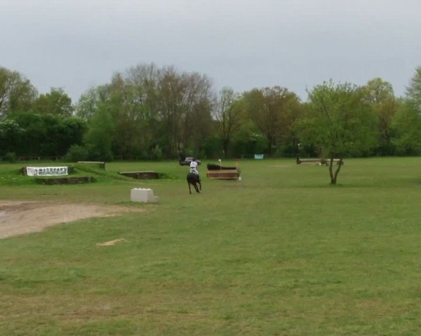 CCI2* Luhmühlen 2024