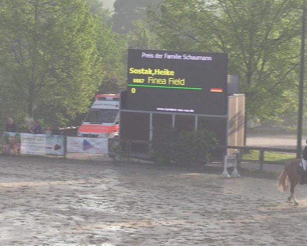 Reitturnier Kamen 2024