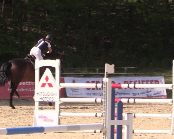 Reitturnier Lgl.-Oberhain, B95 2024