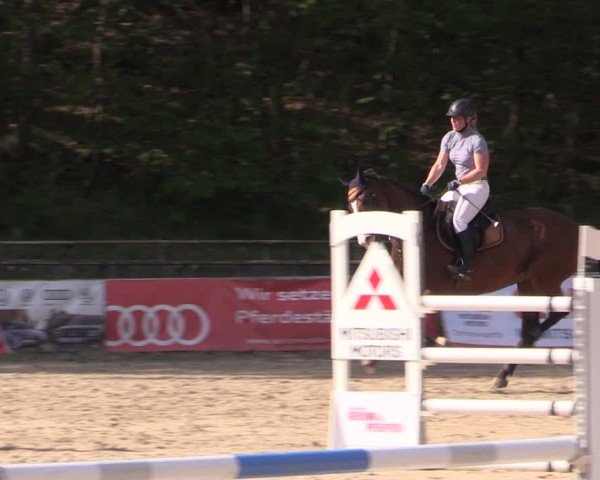 Reitturnier Lgl.-Oberhain, B95 2024