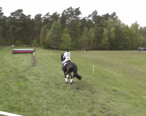 CCI2* Luhmühlen 2024
