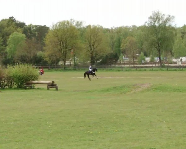 CCI2* Luhmühlen 2024