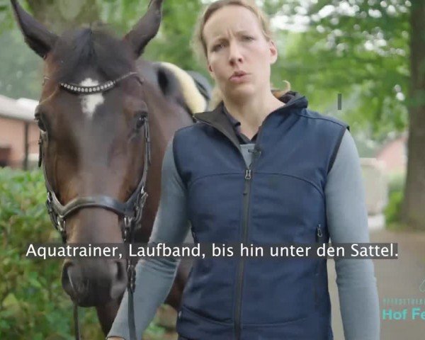 CCI2* Luhmühlen 2024