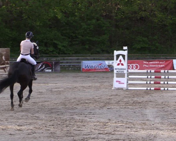 Reitturnier Lgl.-Oberhain, B95 2024