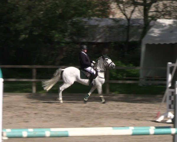 Reitturnier Hildesheim-Steuerwald 2024