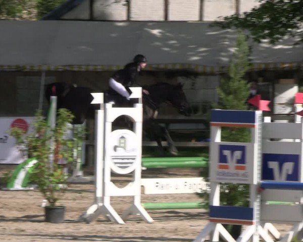Reitturnier Hildesheim-Steuerwald 2024