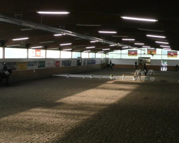 Reitturnier Hildesheim-Steuerwald 2024