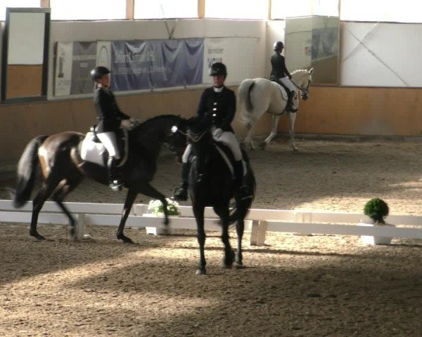 Reitturnier Hildesheim-Steuerwald 2024