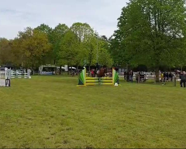 Video di Champ 243