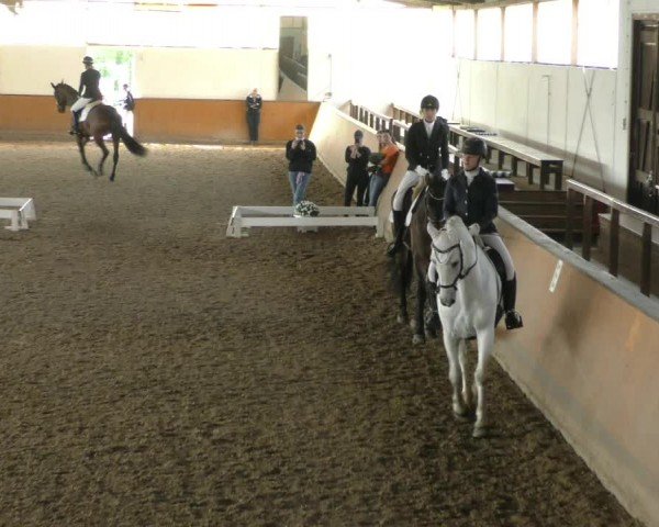 Reitturnier Hildesheim-Steuerwald 2024
