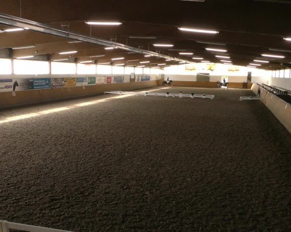 Reitturnier Hildesheim-Steuerwald 2024